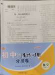 2024年初中同步練習冊分層卷八年級化學全一冊魯教版五四制