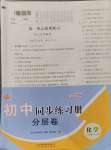 2024年初中同步練習(xí)冊(cè)分層卷八年級(jí)化學(xué)全一冊(cè)魯教版五四制