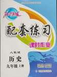 2024年名師點撥配套練習(xí)課時作業(yè)九年級歷史上冊人教版