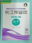 2024年長江作業(yè)本同步練習(xí)冊七年級數(shù)學(xué)上冊人教版