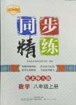 2024年同步精练广东人民出版社八年级数学上册北师大版深圳专版