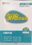 2024年領跑作業本九年級物理全一冊滬粵版