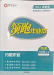 2024年領(lǐng)跑作業(yè)本九年級物理全一冊滬粵版