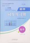 2024年同步練習冊山東人民出版社九年級化學上冊人教版