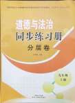 2024年同步練習(xí)冊分層卷九年級道德與法治上冊人教版陜西專版