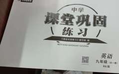 2024年課堂鞏固練習九年級英語全一冊仁愛版