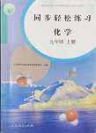 2024年同步輕松練習(xí)九年級化學(xué)上冊人教版