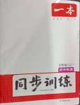 2024年一本同步訓(xùn)練九年級初中物理上冊人教版