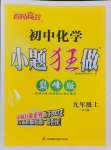 2024年初中化学小题狂做九年级上册沪教版巅峰版