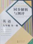 2024年人教金學(xué)典同步解析與測(cè)評(píng)九年級(jí)英語全一冊(cè)人教版云南專版