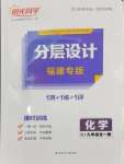 2024年陽光同學分層設計九年級化學全一冊人教版福建專版