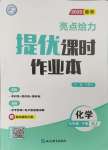 2025年亮點給力提優(yōu)課時作業(yè)本九年級化學下冊人教版