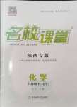 2025年名校課堂九年級化學下冊科粵版陜西專版