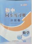 2024年同步練習冊分層卷七年級數(shù)學上冊人教版