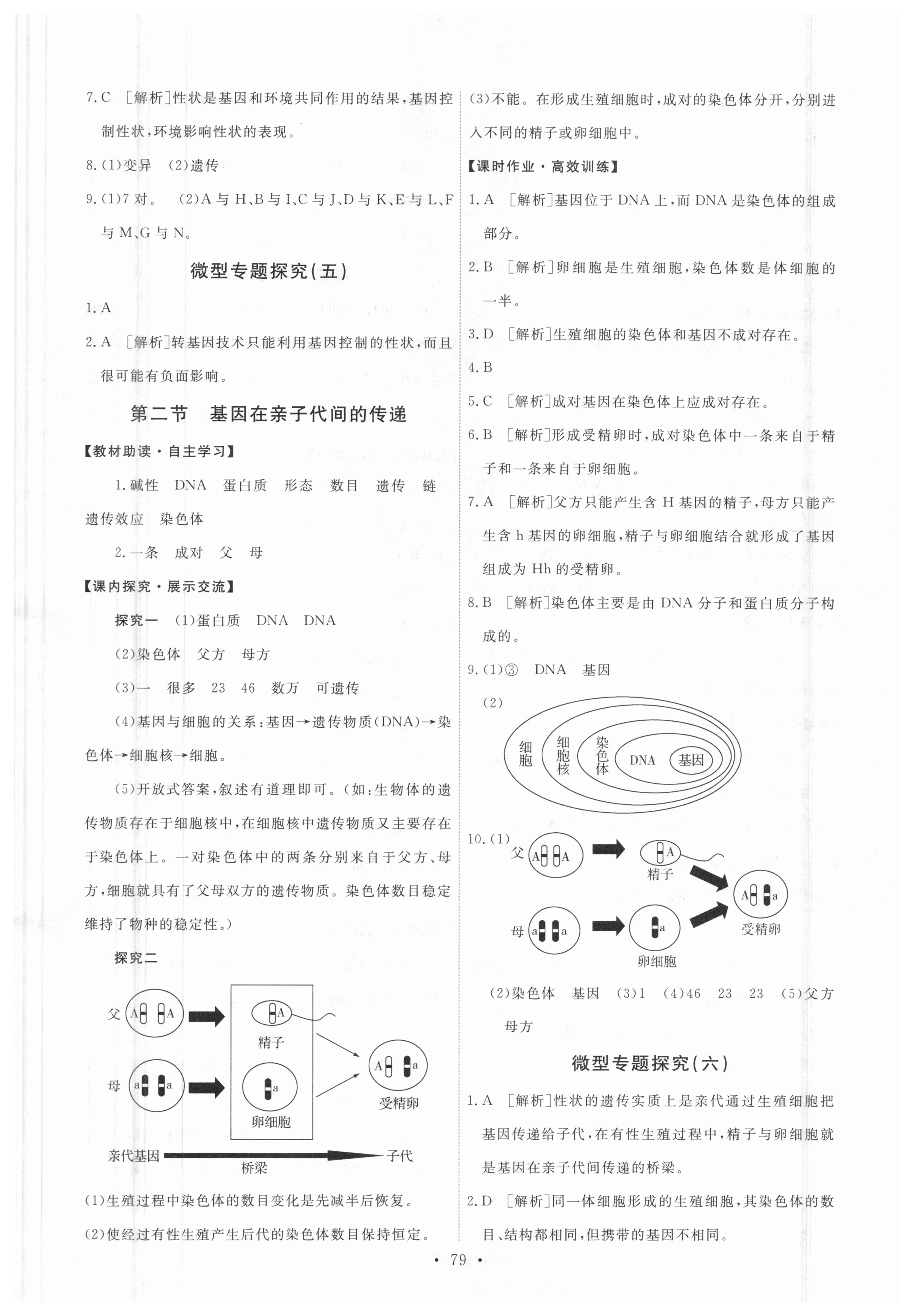 2018年能力培養(yǎng)與測試八年級生物下冊人教版 參考答案第5頁