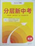 2026年分层新中考化学中考