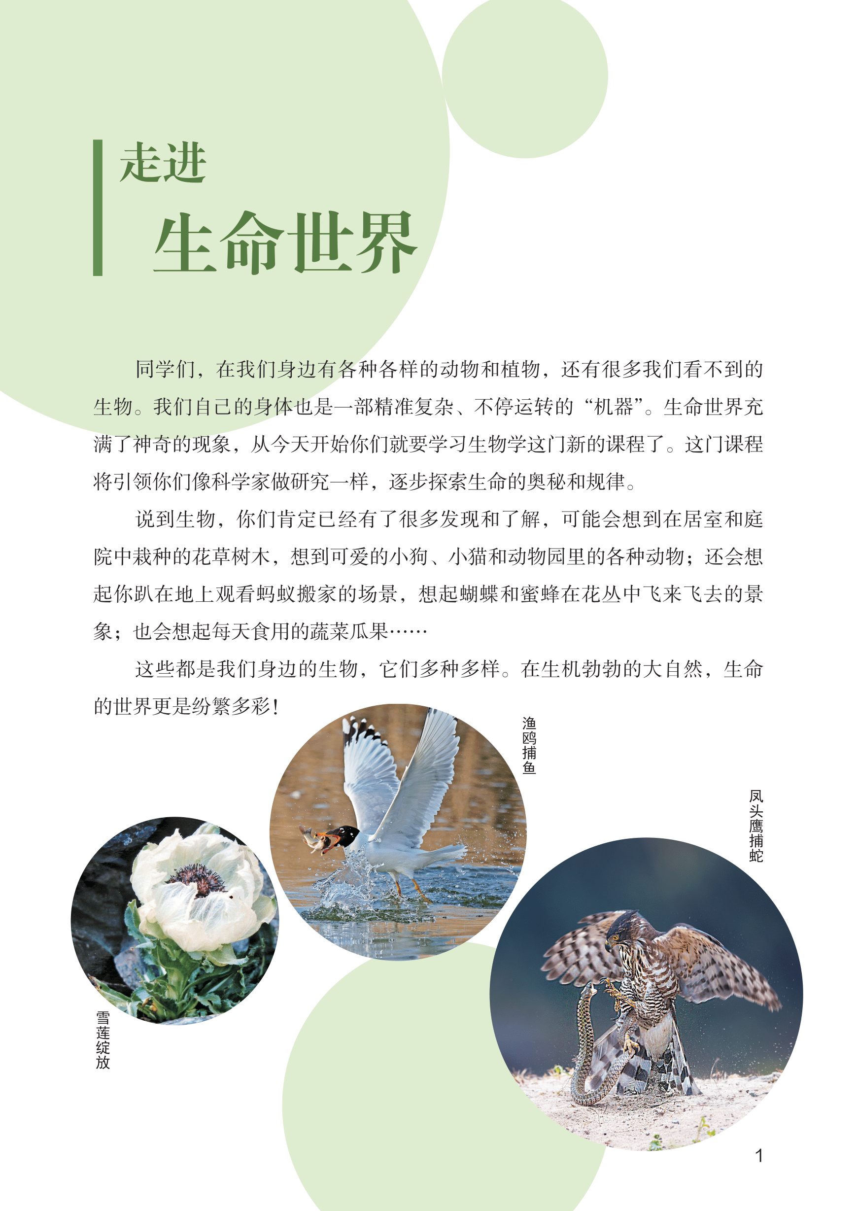 2025年教材課本七年級生物上冊北師大版 第1頁