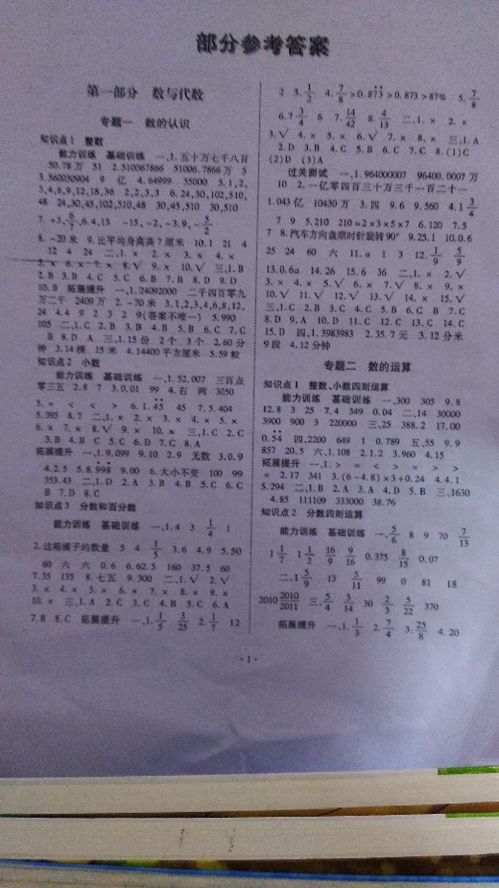 2019年小學(xué)畢業(yè)總復(fù)習(xí)數(shù)學(xué) 第1頁(yè)