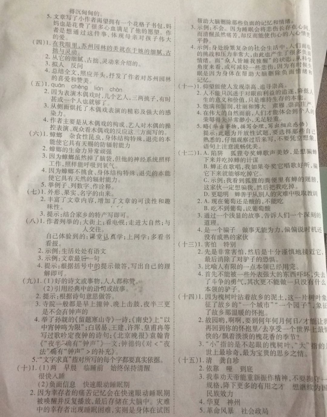 2019年小學畢業升學考前沖刺方案六年級語文下冊邵陽專版 第5頁