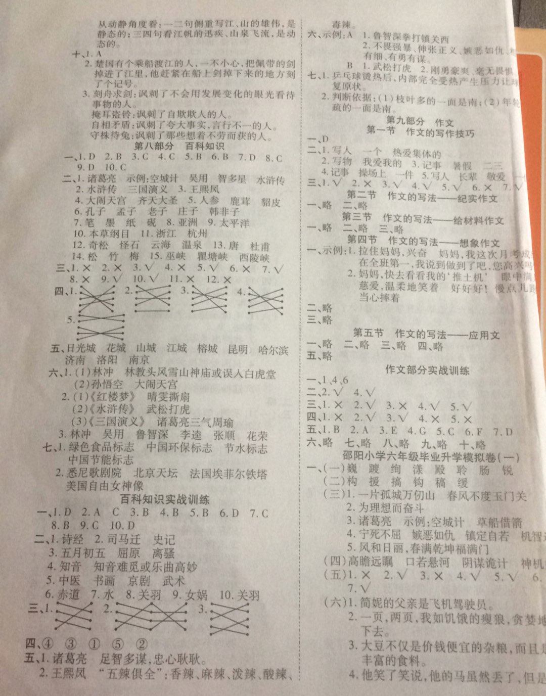 2019年小學畢業升學考前沖刺方案六年級語文下冊邵陽專版 第9頁