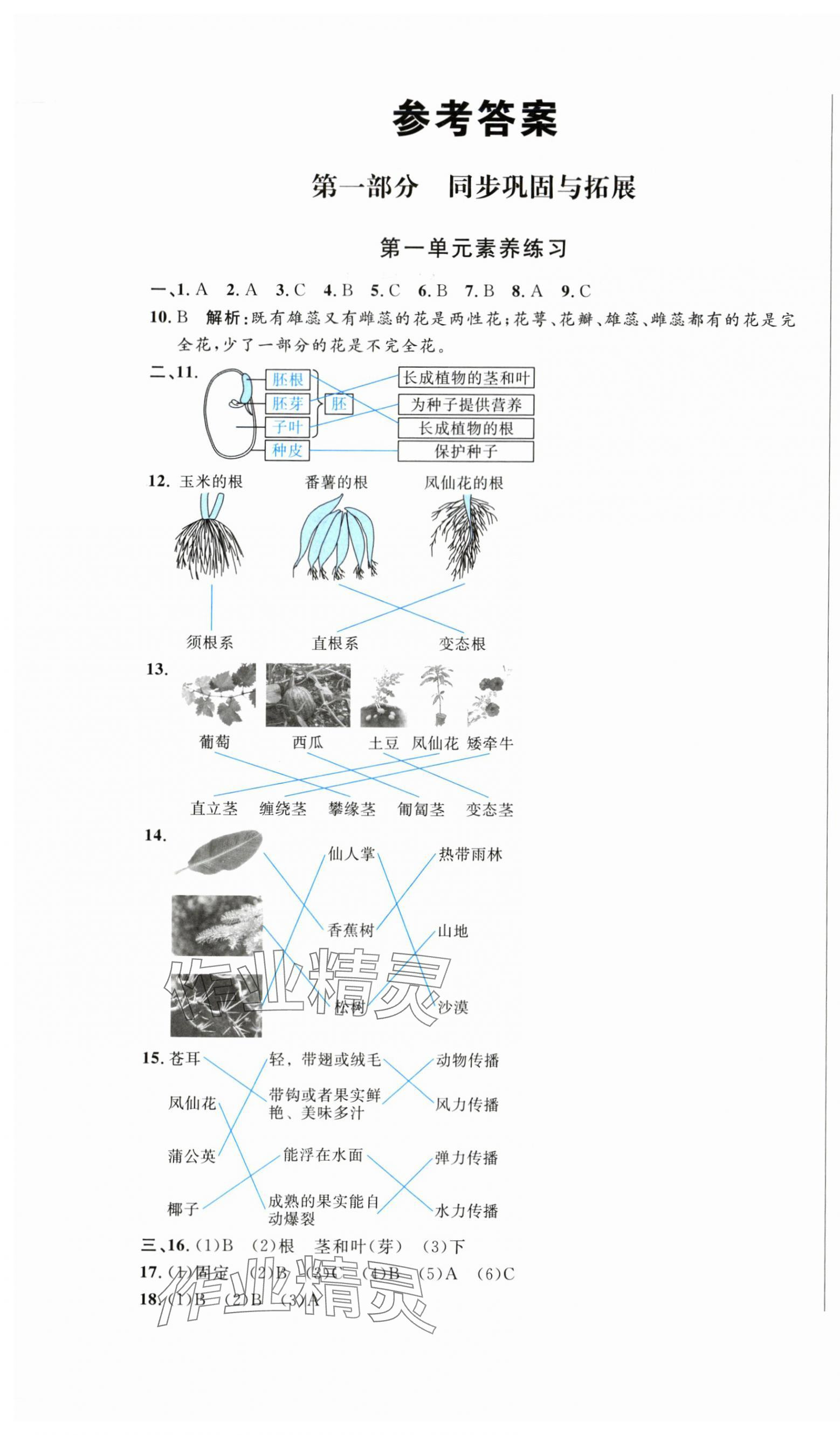2025年浙點通提優卷四年級科學下冊教科版 第1頁
