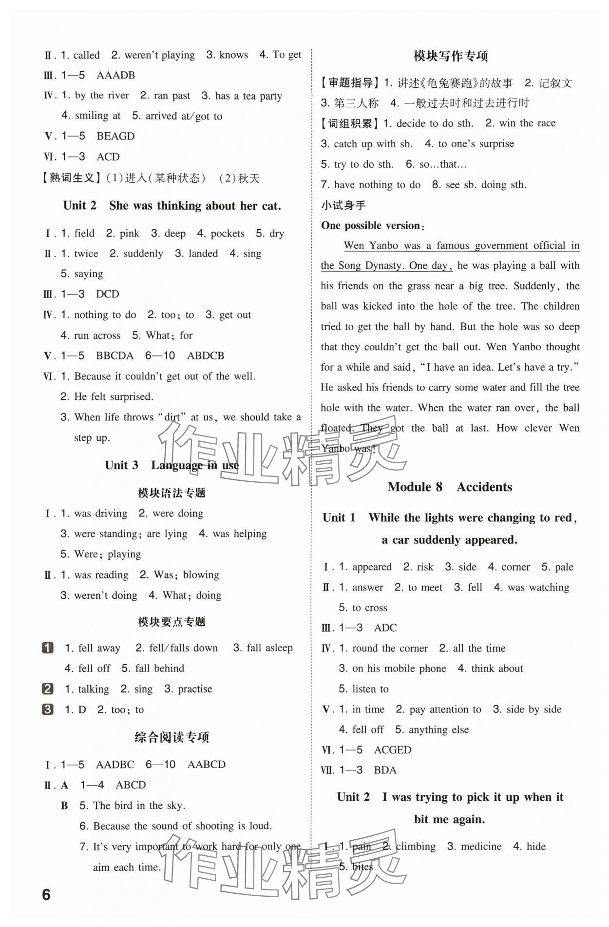 2024年一本同步訓(xùn)練八年級(jí)初中英語(yǔ)上冊(cè)外研版 第6頁(yè)