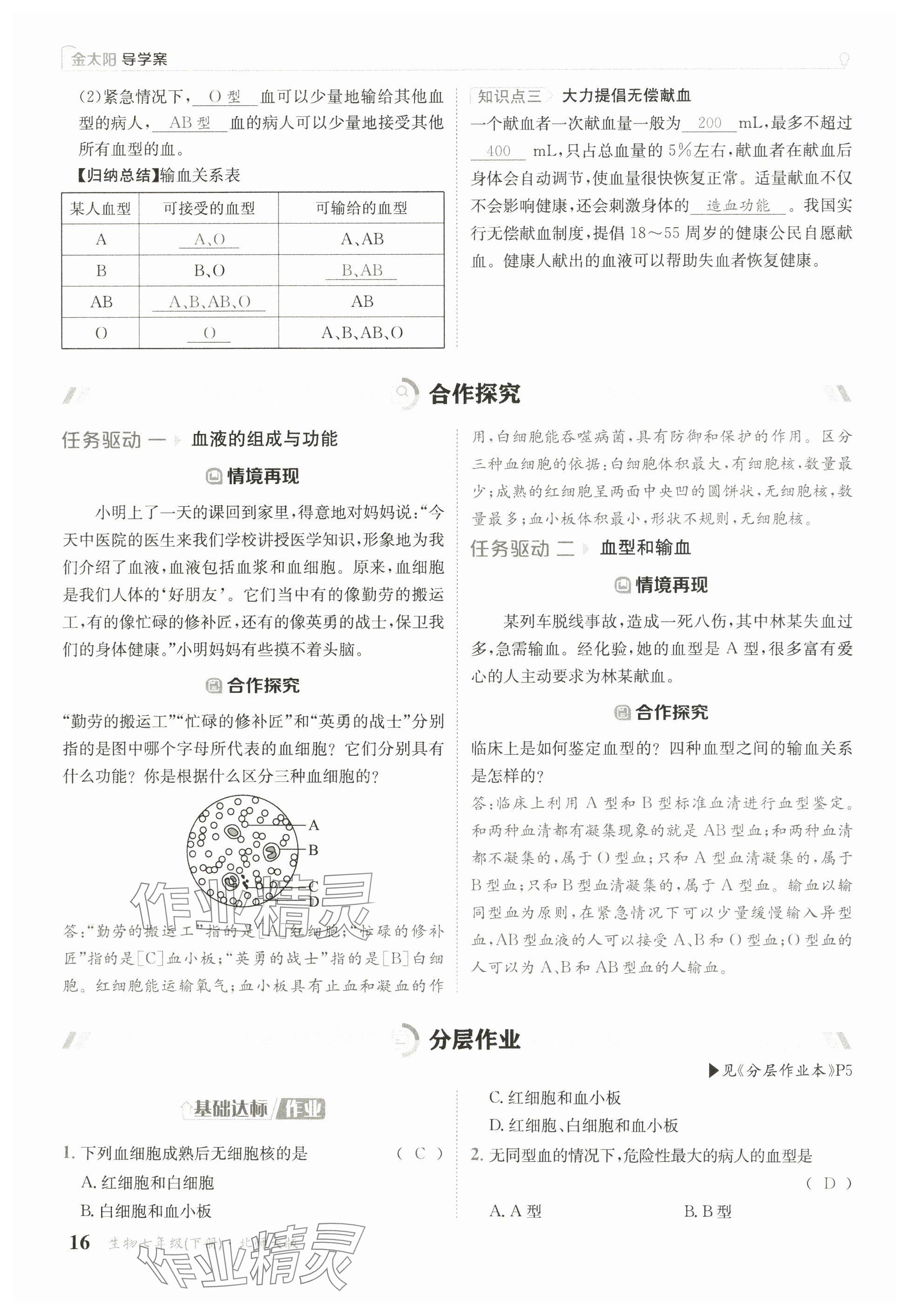 2025年金太陽導(dǎo)學(xué)案七年級生物下冊北師大版 參考答案第14頁