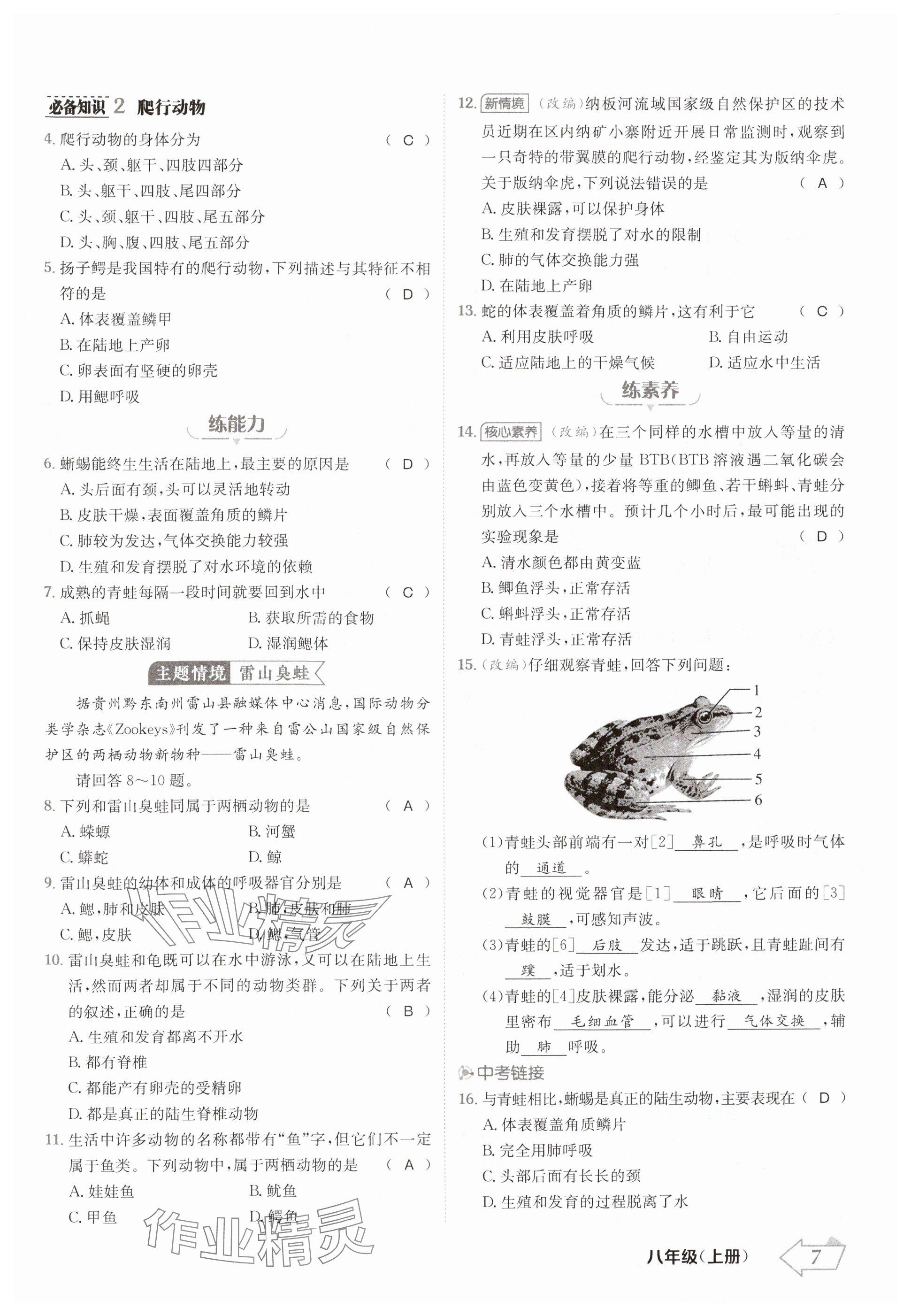 2024年金牌學(xué)練測八年級生物上冊人教版 參考答案第7頁