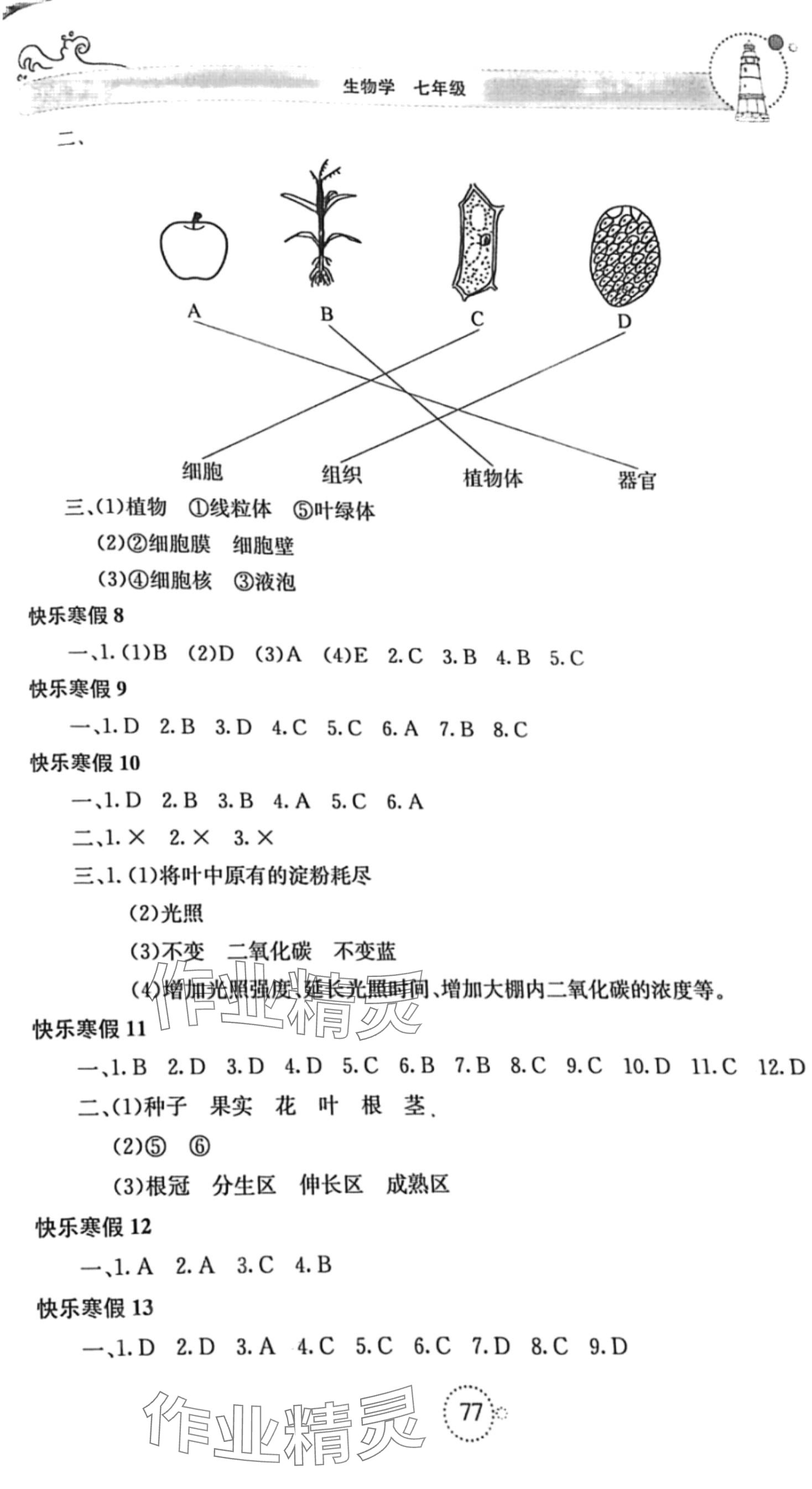 2024年新课堂寒假生活七年级生物 第2页