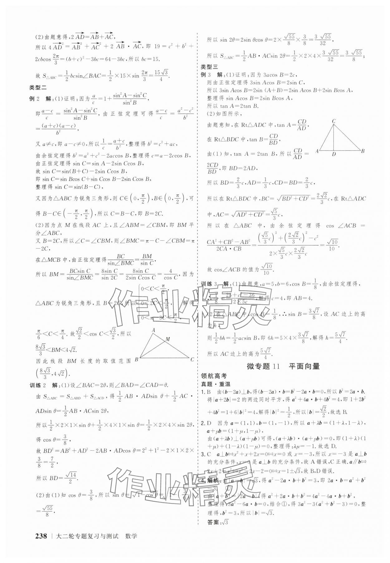 2025年高考領(lǐng)航數(shù)學(xué)大二輪專題復(fù)習(xí)與測試 參考答案第25頁