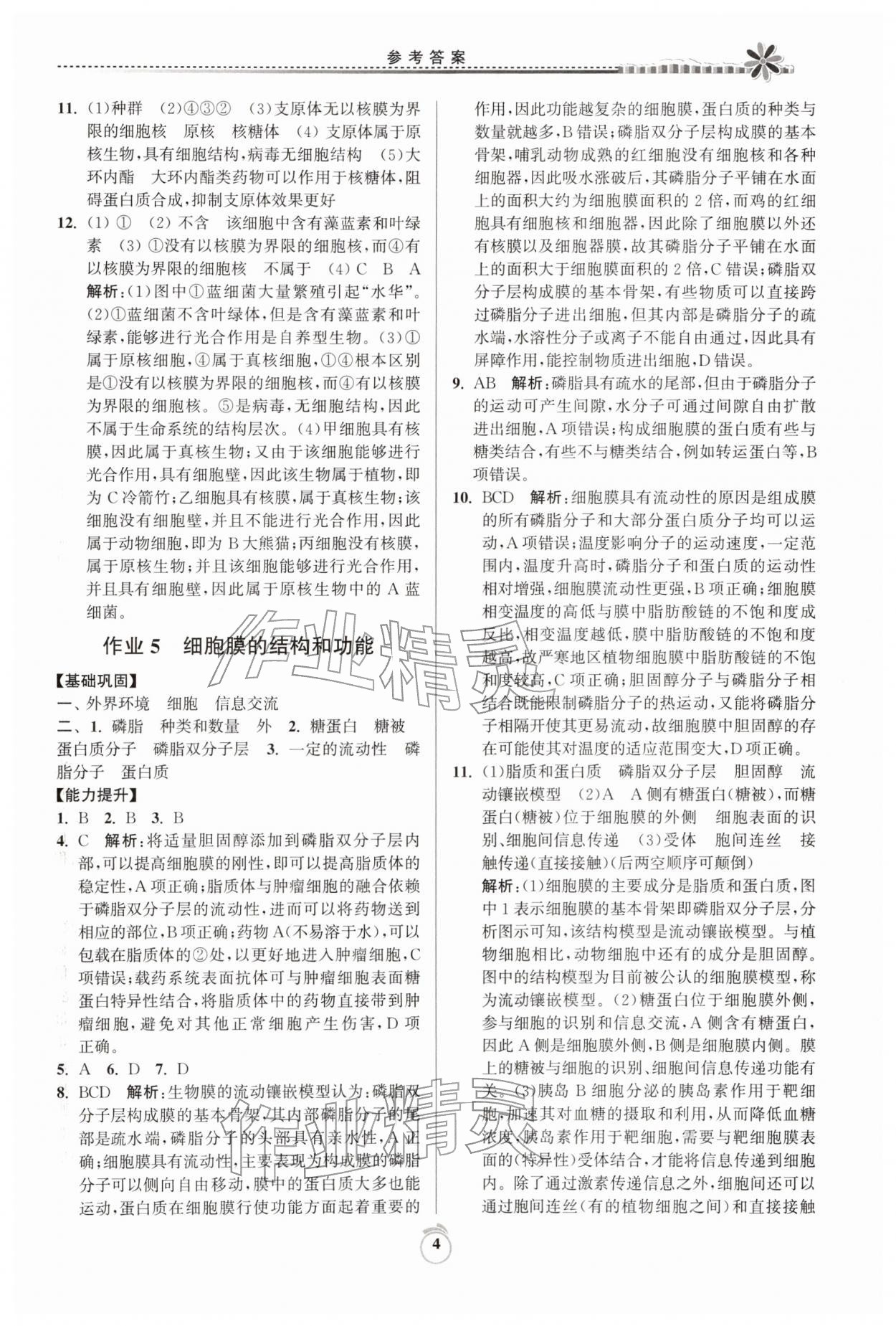 2026年假期好作业暨期末复习寒假高一生物&nbsp;参考答案第4页