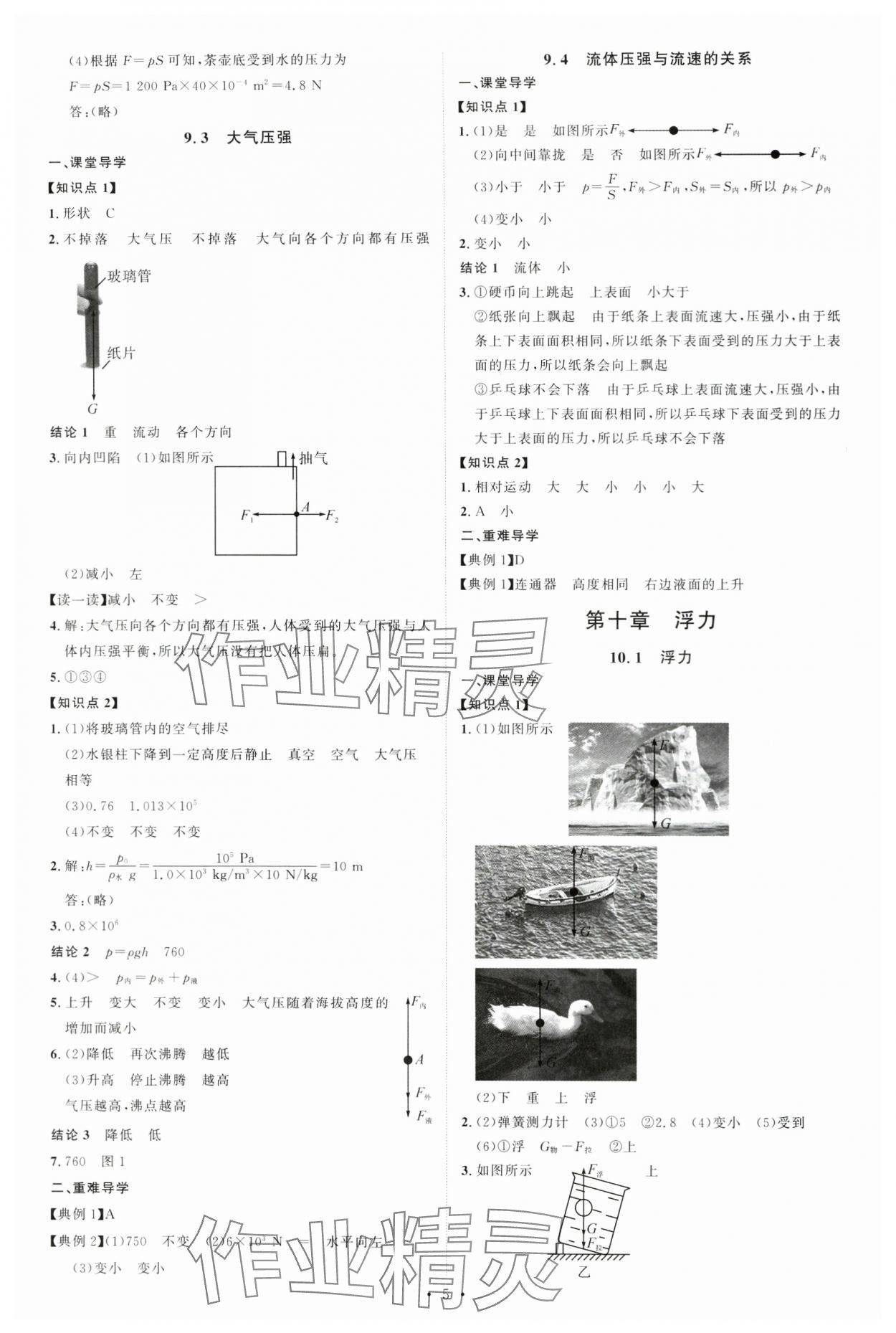 2024年多維導學案八年級物理下冊人教版 第5頁