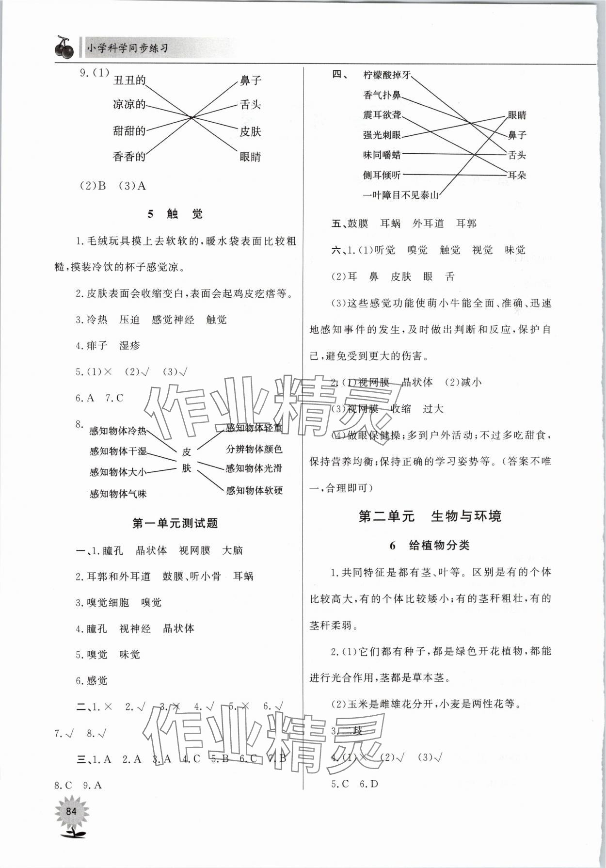 2024年同步练习山东文艺出版社六年级科学下册青岛版 第2页