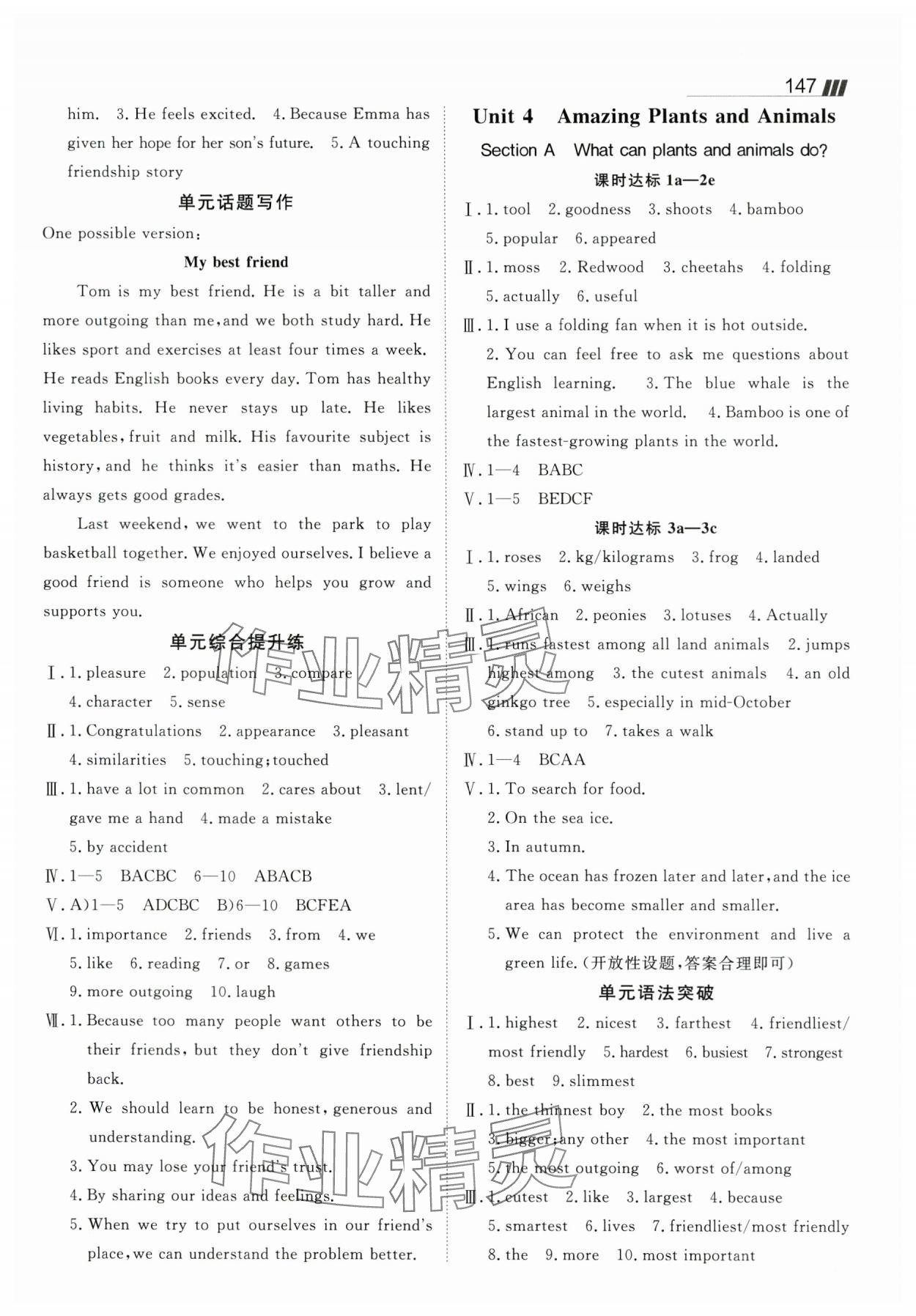 2025年同行学案学练测八年级英语上册人教版 第5页