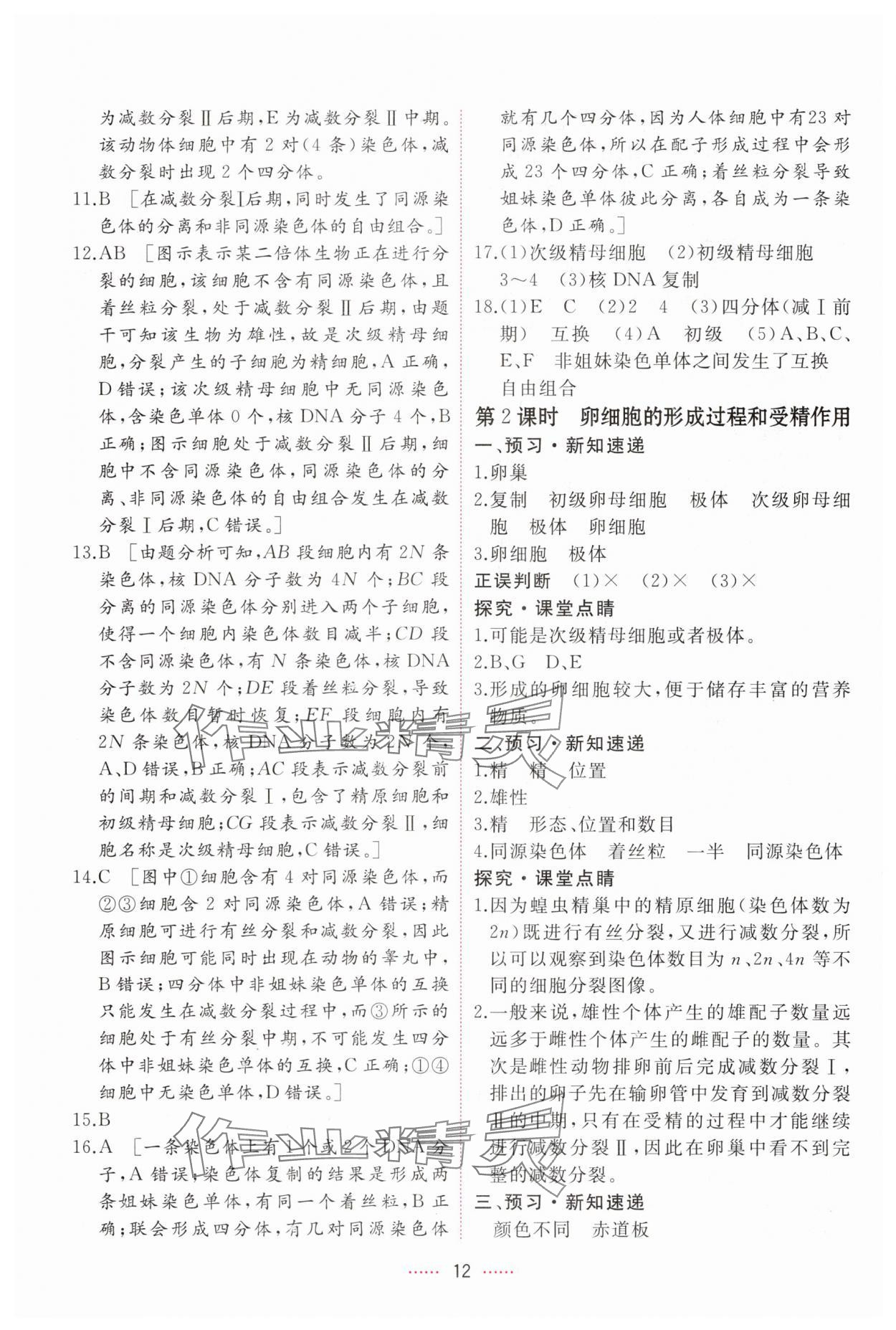 2025年三維隨堂精練高中生物必修2人教版 第12頁