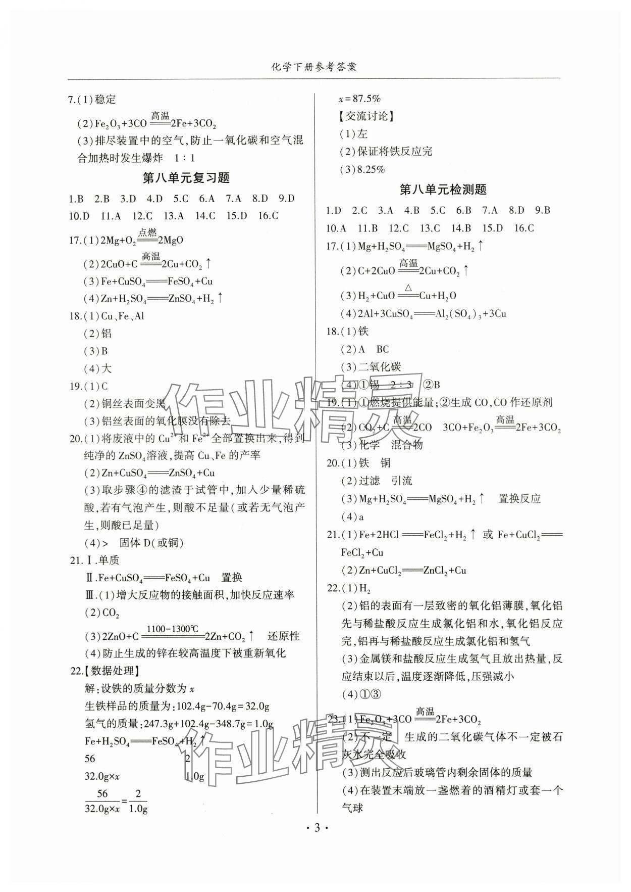 2024年金榜秘笈名校作業(yè)本九年級(jí)化學(xué)下冊(cè)人教版 第3頁