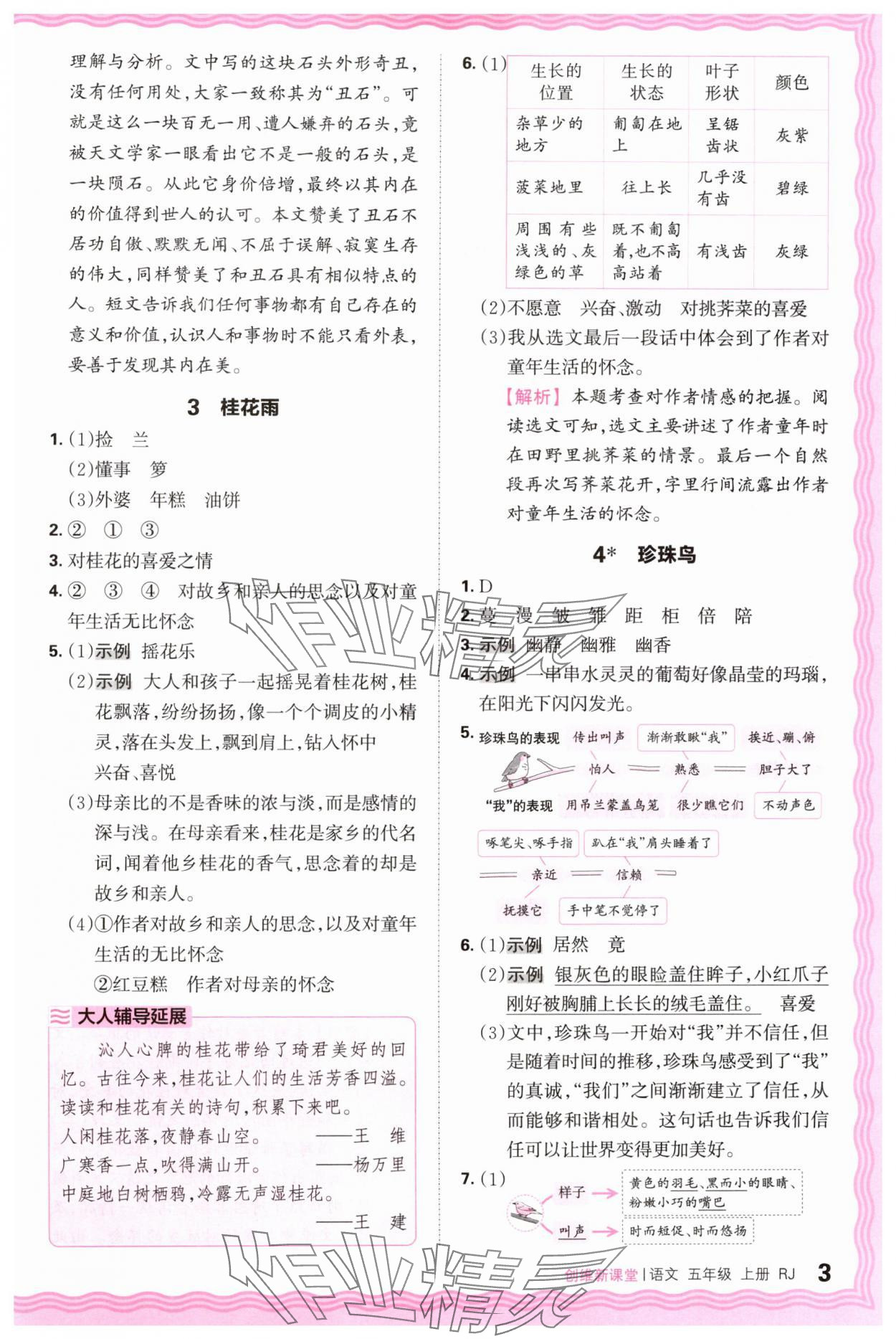 2024年創(chuàng)維新課堂五年級語文上冊人教版 第3頁