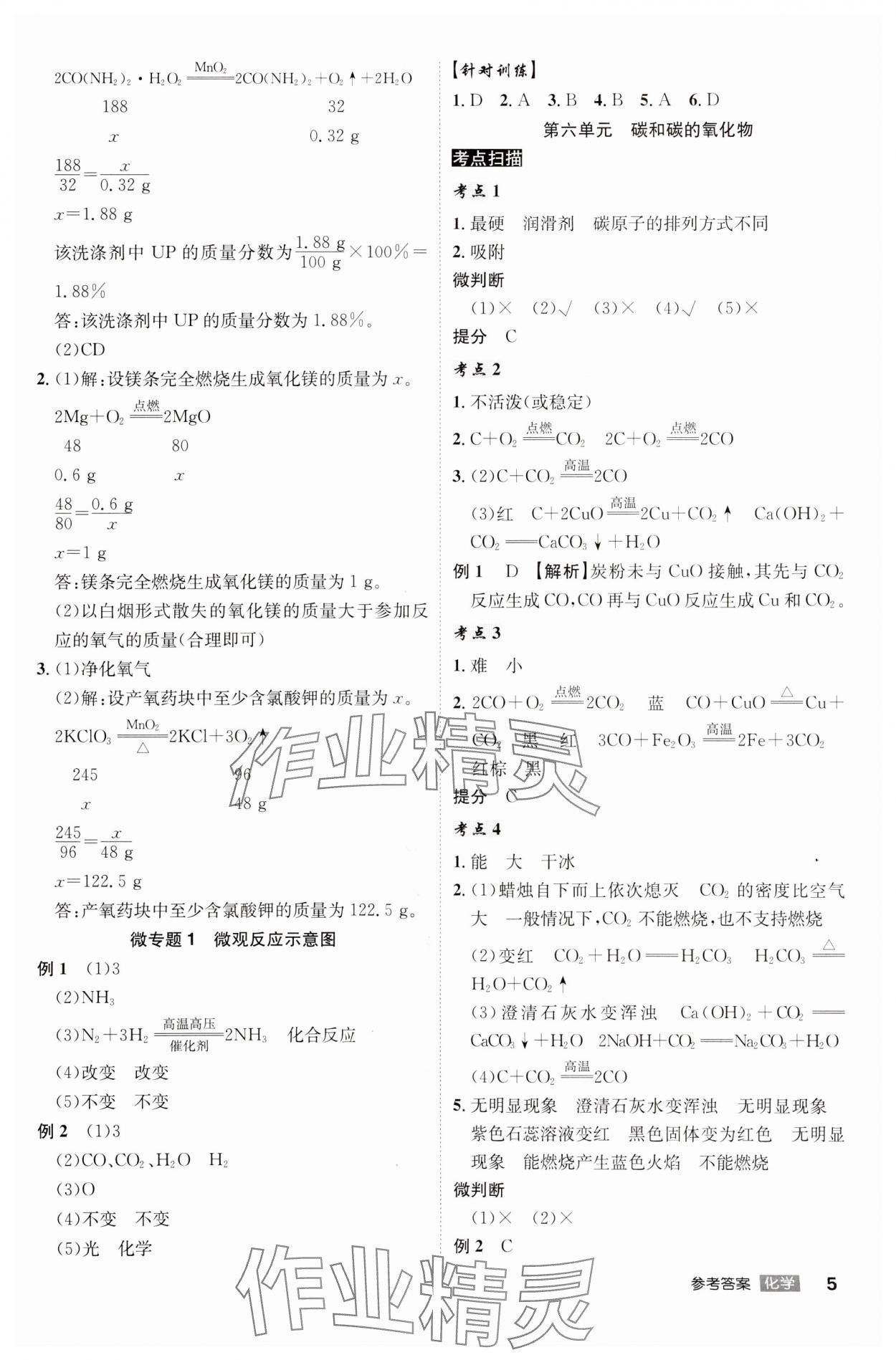 2024年中考總復(fù)習(xí)名師A計(jì)劃化學(xué)中考 參考答案第5頁(yè)