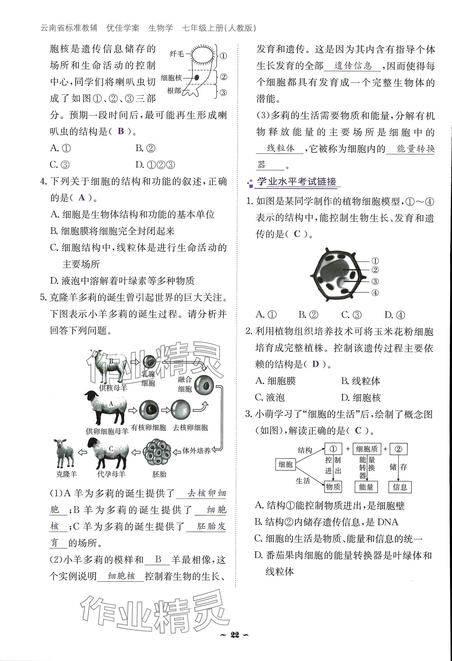 2024云南省標(biāo)準(zhǔn)教輔優(yōu)佳學(xué)案七年級(jí)生物上冊(cè) 參考答案第22頁(yè)