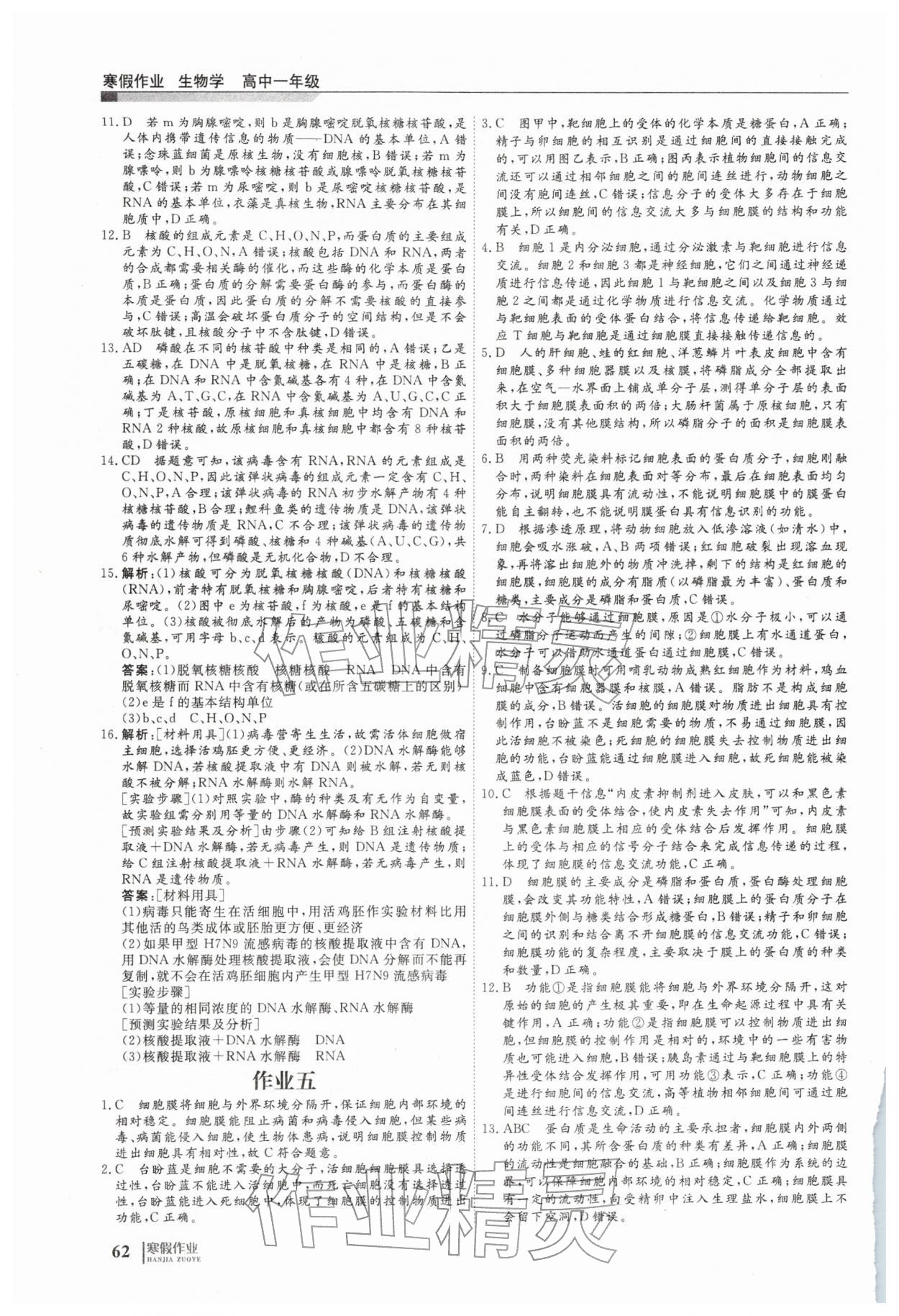 2026年刷題計劃寒假作業(yè)高一生物&nbsp;第4頁