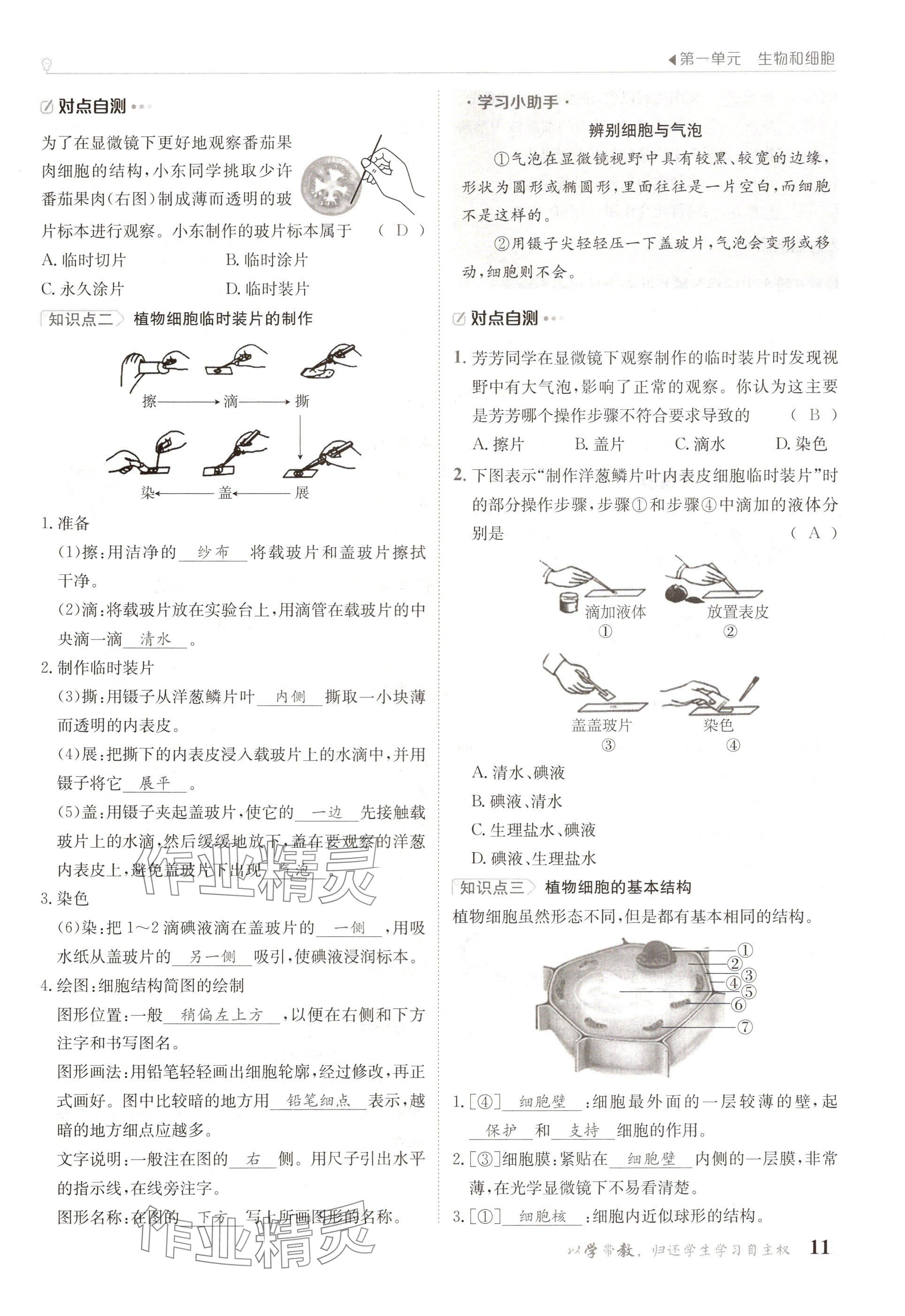 2024年金太陽導(dǎo)學(xué)案七年級(jí)生物上冊(cè)人教版 參考答案第11頁