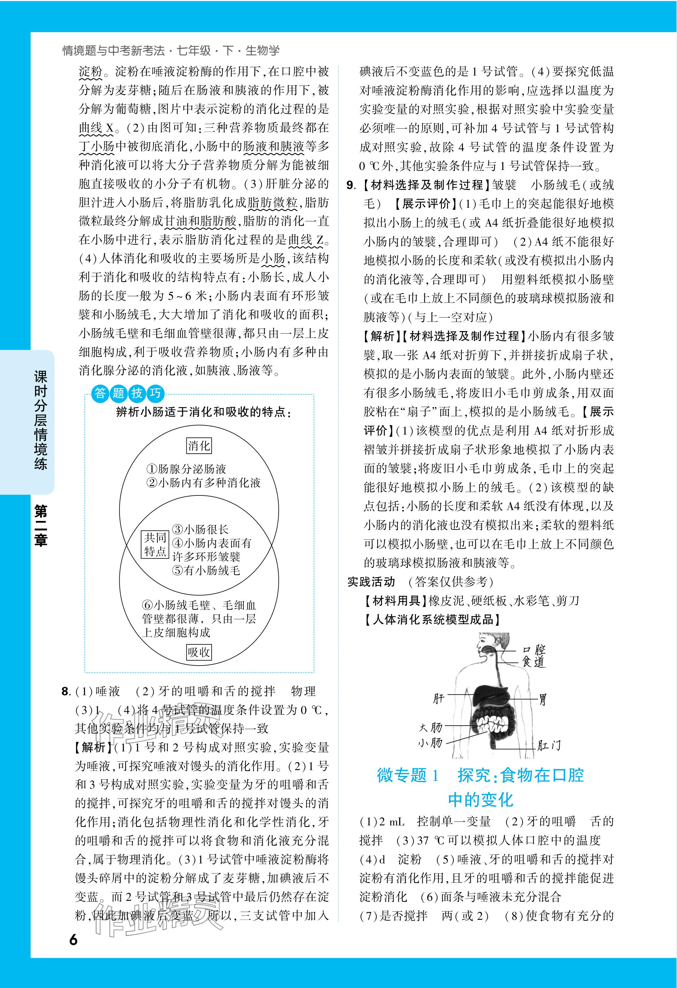 2024年萬(wàn)唯中考情境題七年級(jí)生物下冊(cè)人教版 參考答案第6頁(yè)