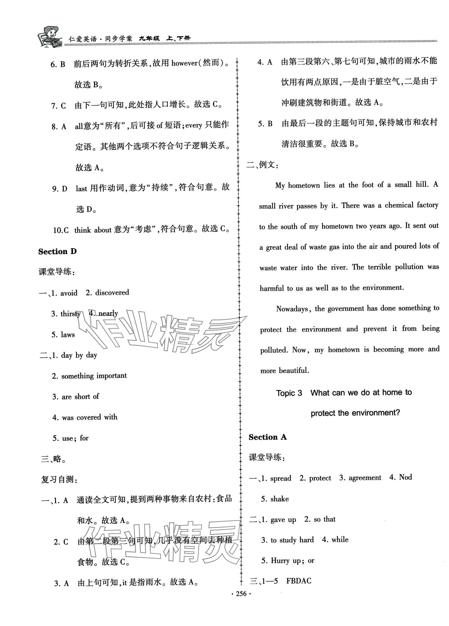 2024年仁爱英语同步学案九年级全一册仁爱版 第30页