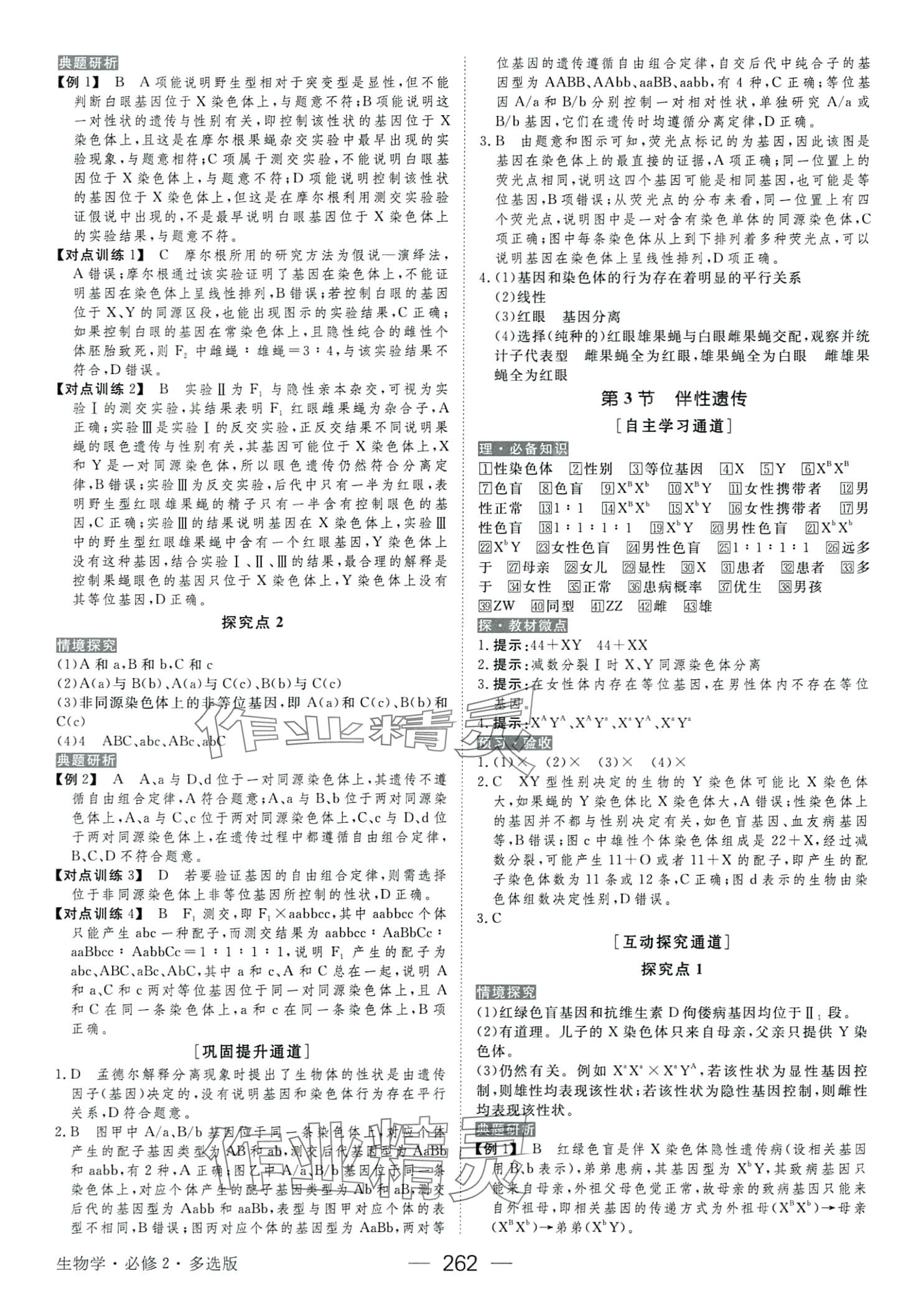 2024年綠色通道高中生物必修2人教版 第10頁