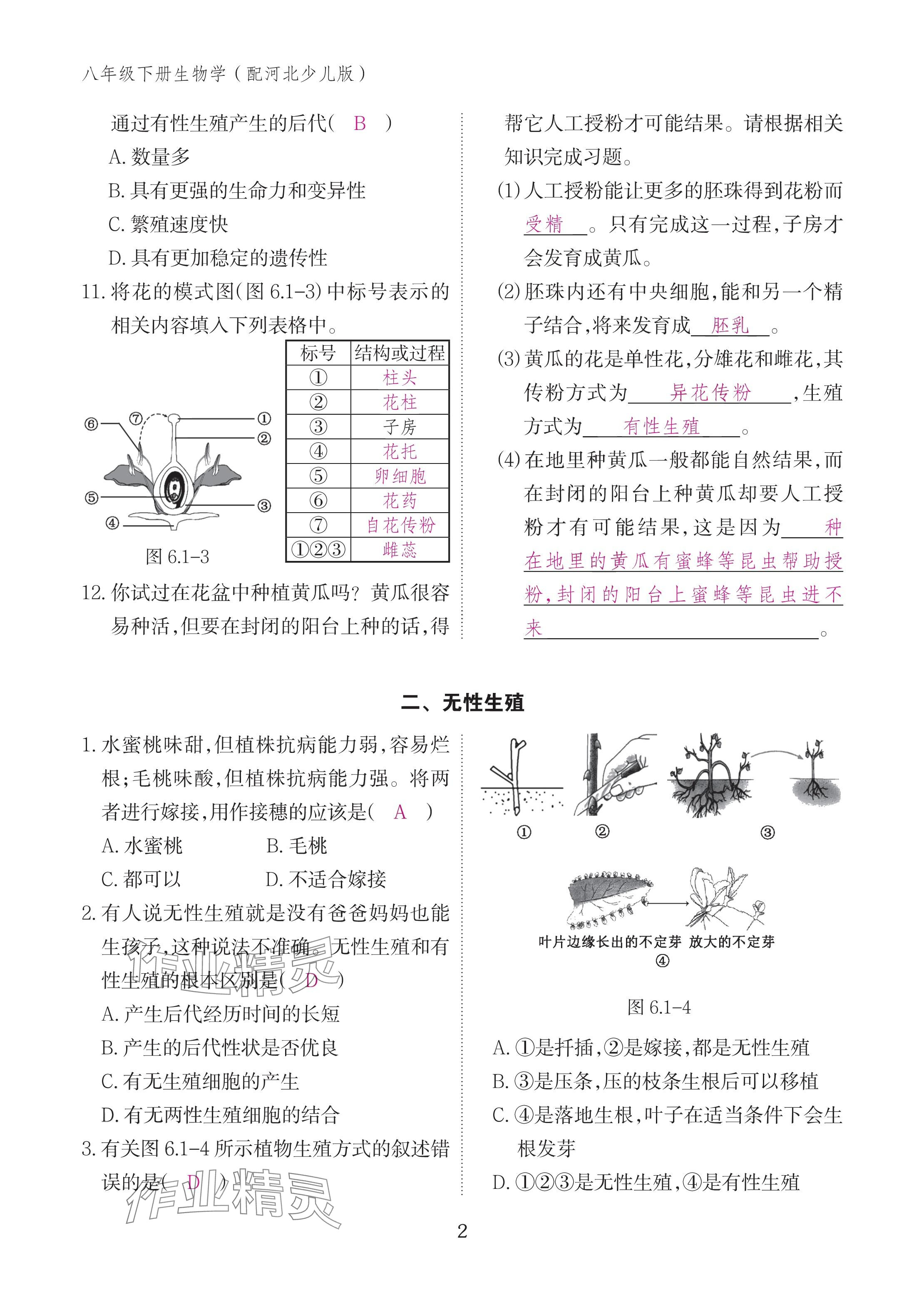 2025年作業(yè)本江西教育出版社八年級(jí)生物下冊(cè)冀少版 參考答案第2頁