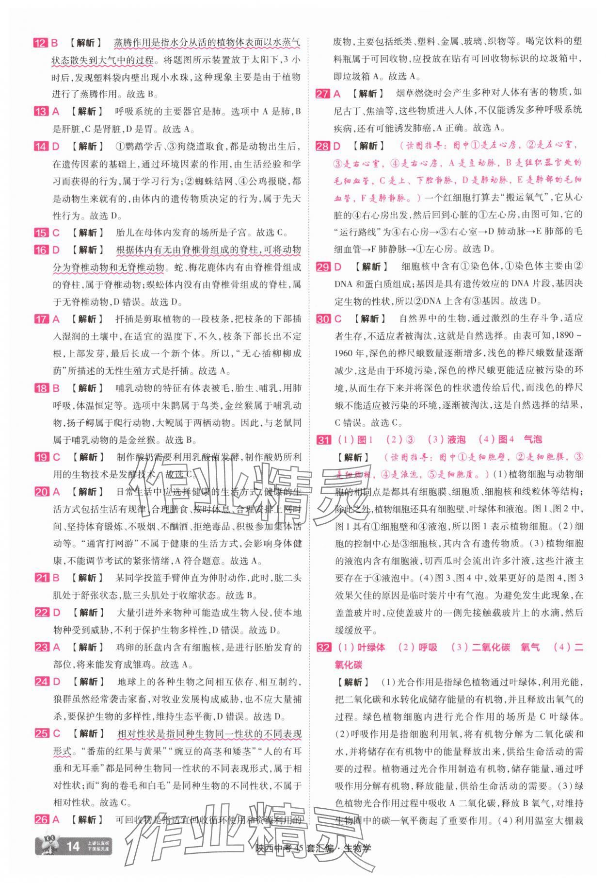 2025年金考卷45套匯編生物中考人教版陜西專版 參考答案第14頁