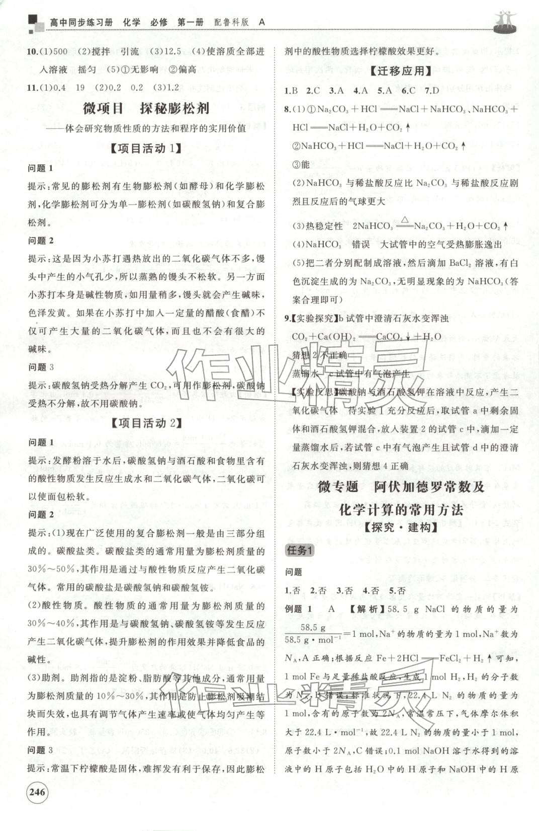 2025年同步练习册山东友谊出版社高中化学必修第一册鲁科版 第10页