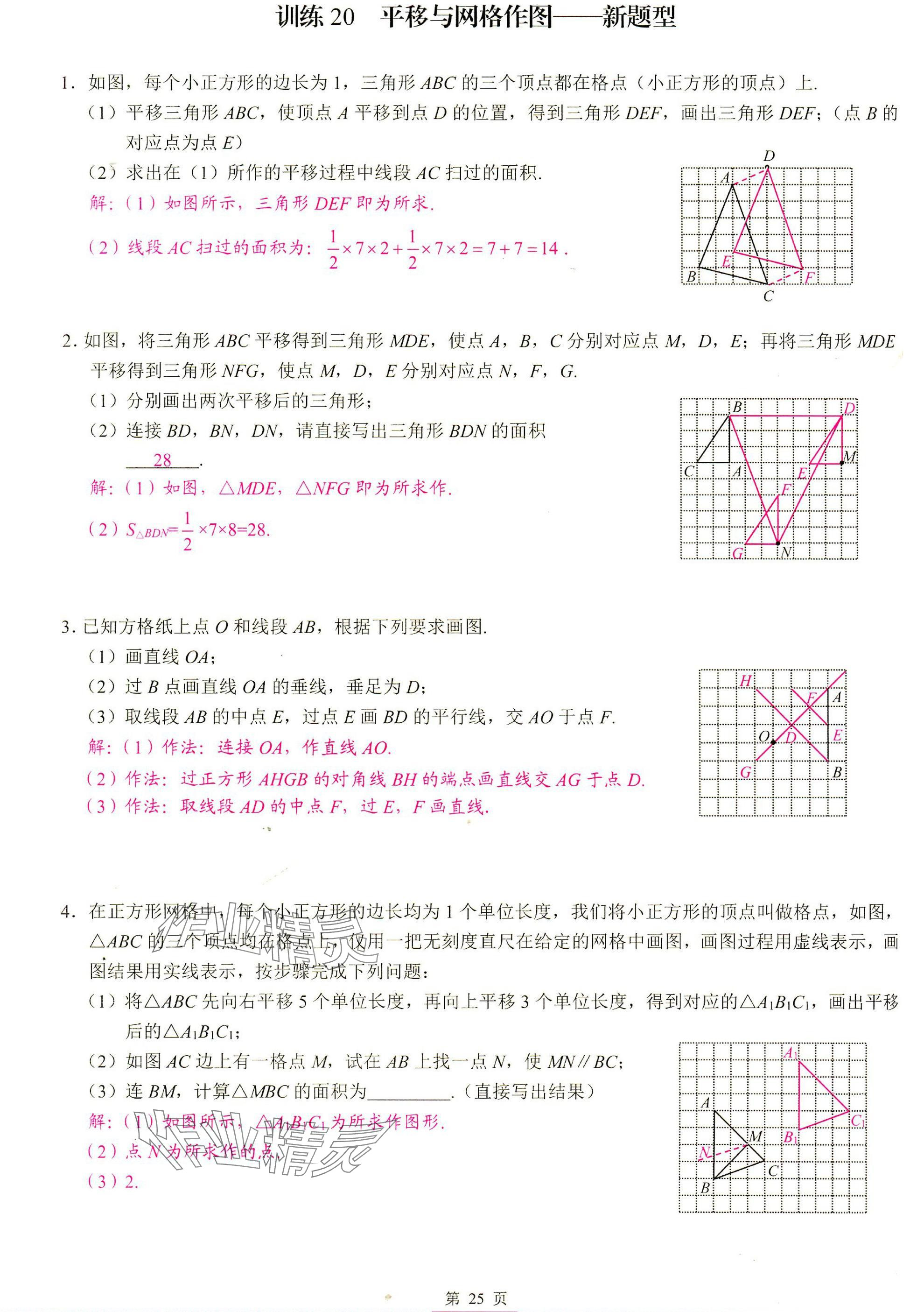 2025年計算高手七年級數(shù)學下冊人教版 參考答案第25頁
