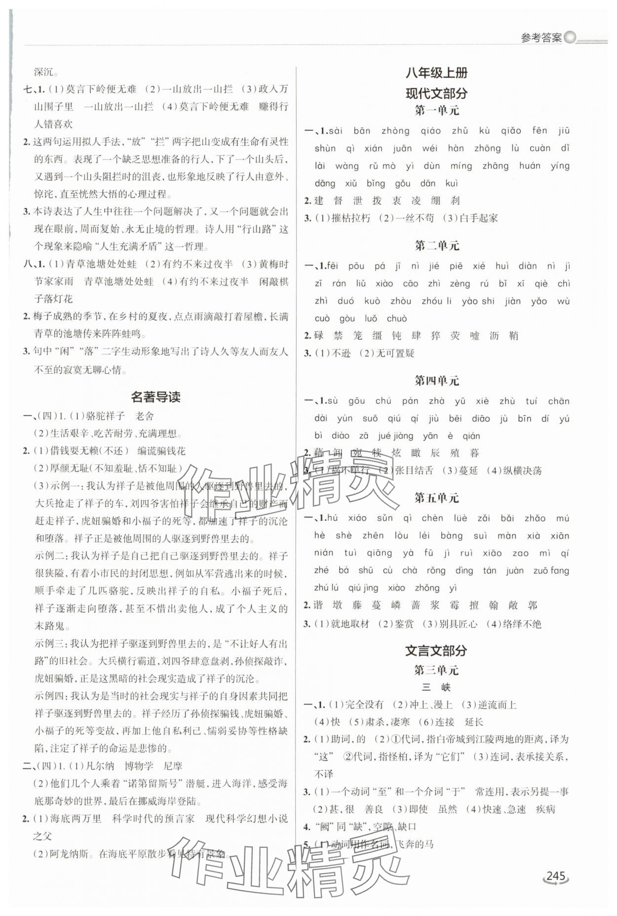 2025年初中总复习手册泰山出版社语文 第7页