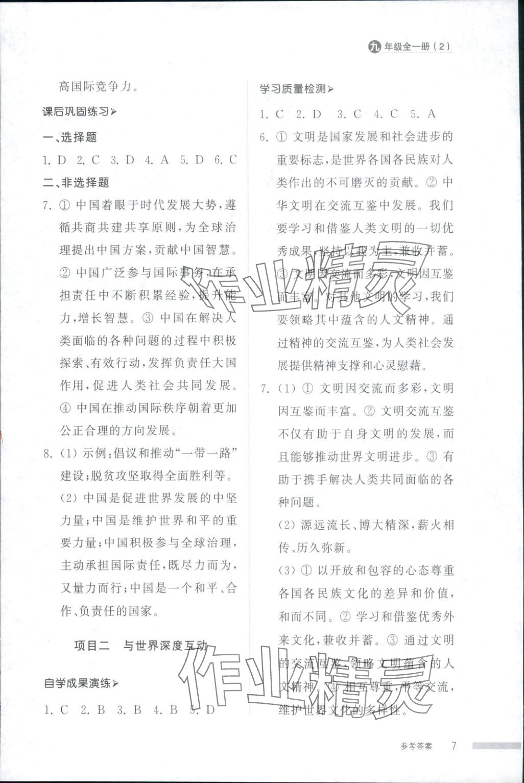 2025年導(dǎo)學(xué)與檢測(cè)九年級(jí)道德與法治全一冊(cè)人教版2&nbsp;第7頁(yè)